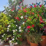 Descalzos Angel With Private Terrace Free Parking רונדה