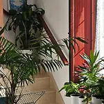 Descalzos Angel With Private Terrace Free Parking רונדה