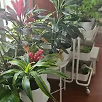 דירה Descalzos Angel With Private Terrace Free Parking *