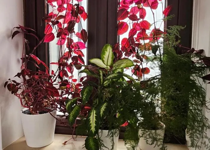 Descalzos Angel With Private Terrace Free Parking Appartement Ronda