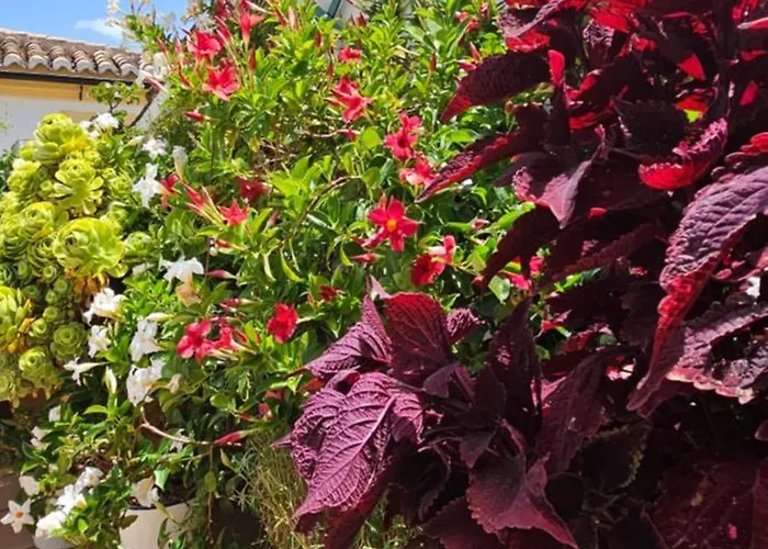 Apartmán Descalzos Angel With Private Terrace Free Parking *