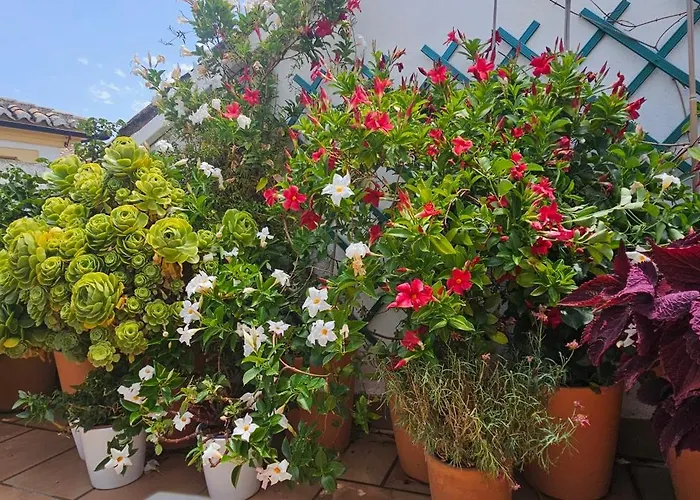 Descalzos Angel With Private Terrace Free Parking Ronda