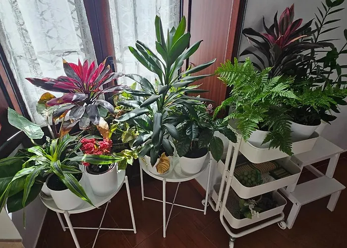 Descalzos Angel With Private Terrace Free Parking