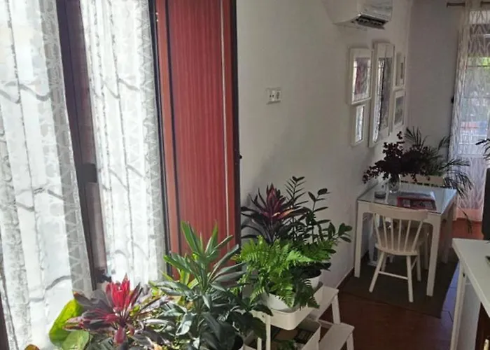 Descalzos Angel With Private Terrace Free Parking