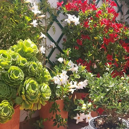 Apartment Descalzos Angel With Private Terrace Free Parking *