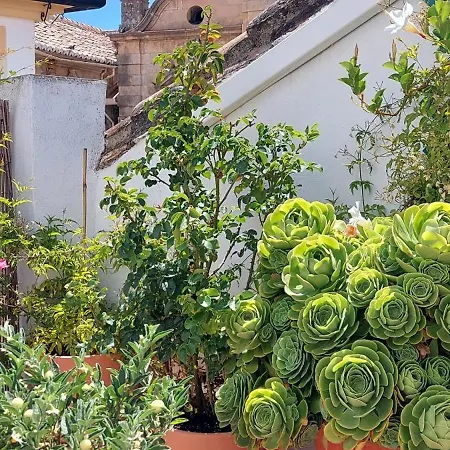 Apartment Descalzos Angel With Private Terrace Free Parking *