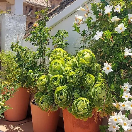 Apartment Descalzos Angel With Private Terrace Free Parking *