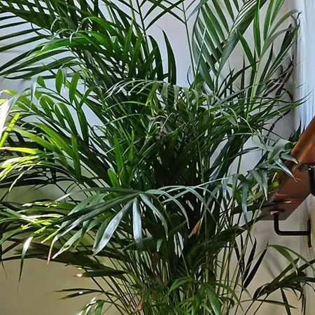 Descalzos Angel With Private Terrace Free Parking Lejlighed *