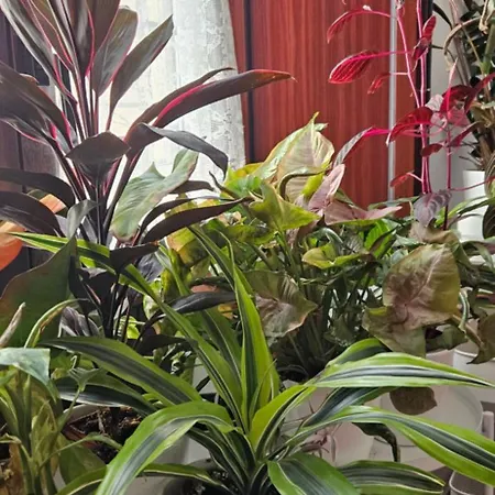 Descalzos Angel With Private Terrace Free Parking Apartment Ronda