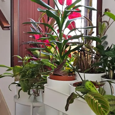Apartment Descalzos Angel With Private Terrace Free Parking Ronda