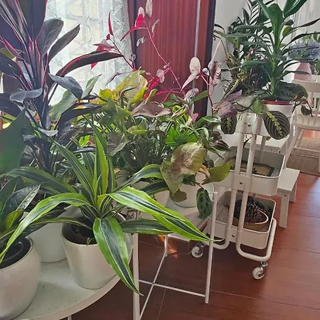 Apartment Descalzos Angel With Private Terrace Free Parking