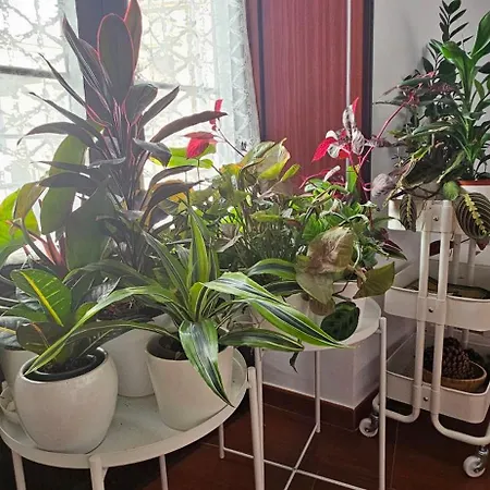 Apartment Descalzos Angel With Private Terrace Free Parking *