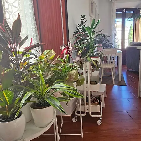 Apartment Descalzos Angel With Private Terrace Free Parking Ronda