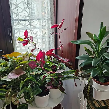 Descalzos Angel With Private Terrace Free Parking Ronda