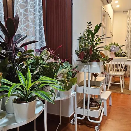 Apartment Descalzos Angel With Private Terrace Free Parking