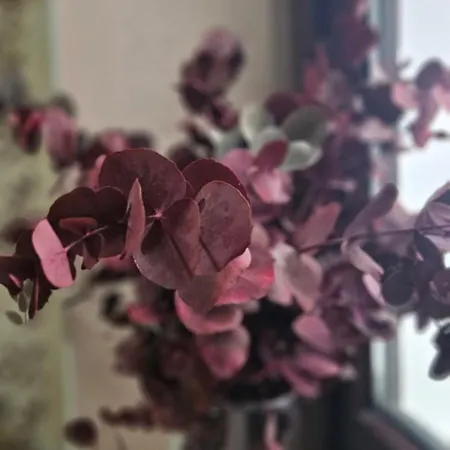 Descalzos Angel With Private Terrace Free Parking Ronda