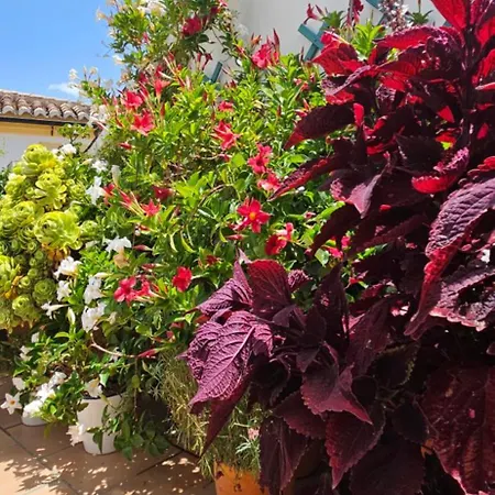 Apartment Descalzos Angel With Private Terrace Free Parking *