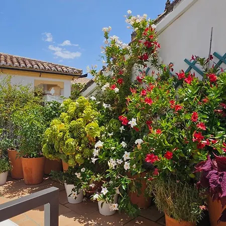 Descalzos Angel With Private Terrace Free Parking Appartement Ronda