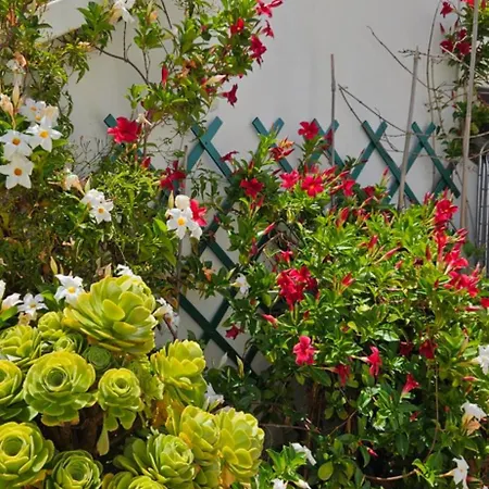 Apartment Descalzos Angel With Private Terrace Free Parking Ronda