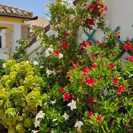 Descalzos Angel With Private Terrace Free Parking *