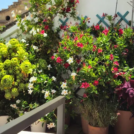 Descalzos Angel With Private Terrace Free Parking