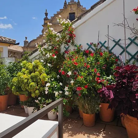 Descalzos Angel With Private Terrace Free Parking Apartment