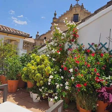 Apartment Descalzos Angel With Private Terrace Free Parking
