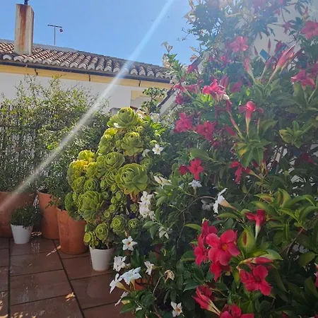 Descalzos Angel With Private Terrace Free Parking *