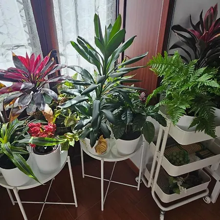 Descalzos Angel With Private Terrace Free Parking