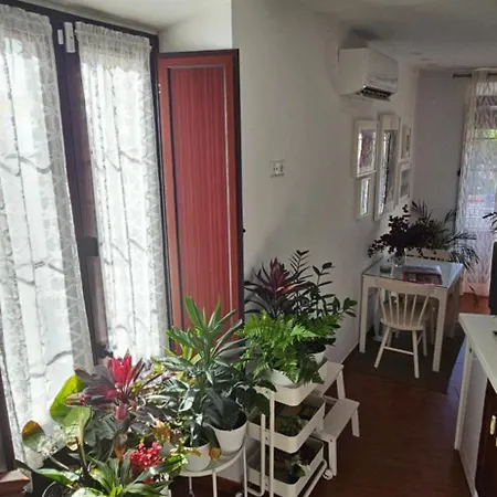 Descalzos Angel With Private Terrace Free Parking