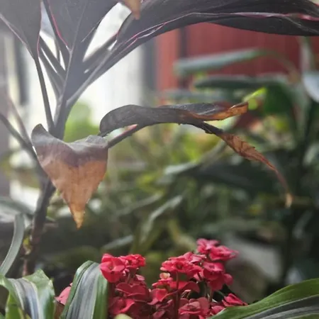 Apartment Descalzos Angel With Private Terrace Free Parking