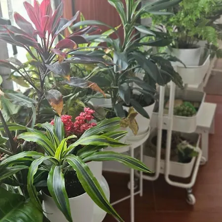 Apartment Descalzos Angel With Private Terrace Free Parking *