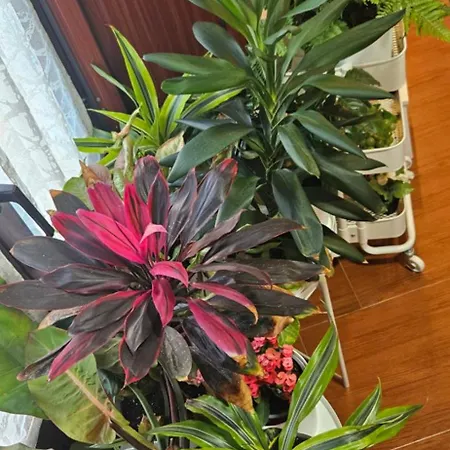 Descalzos Angel With Private Terrace Free Parking * Ronda