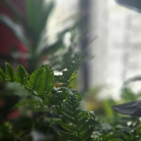 Descalzos Angel With Private Terrace Free Parking Ronda