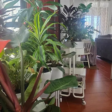 Descalzos Angel With Private Terrace Free Parking Appartement