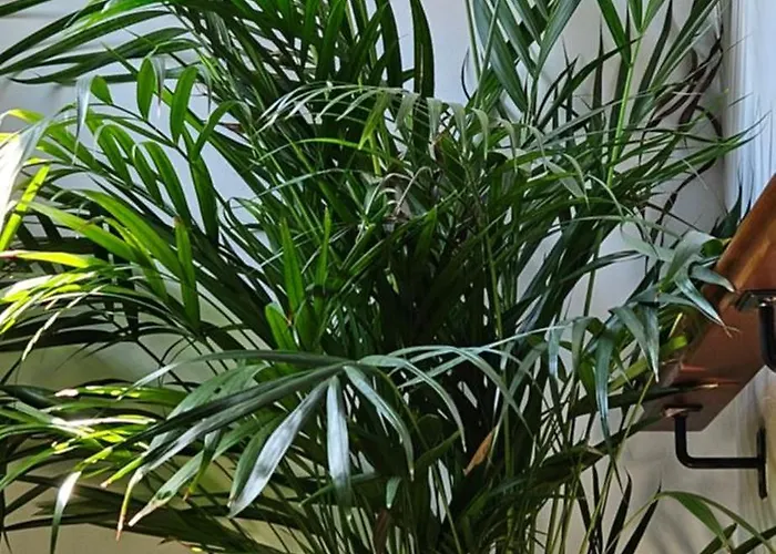 Descalzos ángel With Private Terrace Free Parking Appartamento *