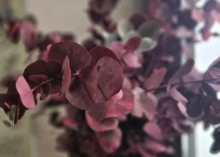 Descalzos ángel With Private Terrace Free Parking Ronda