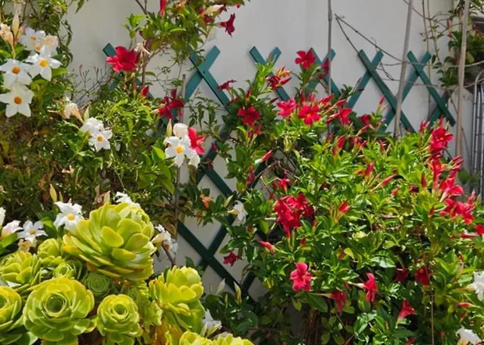 Appartement Descalzos Angel With Private Terrace Free Parking Ronda