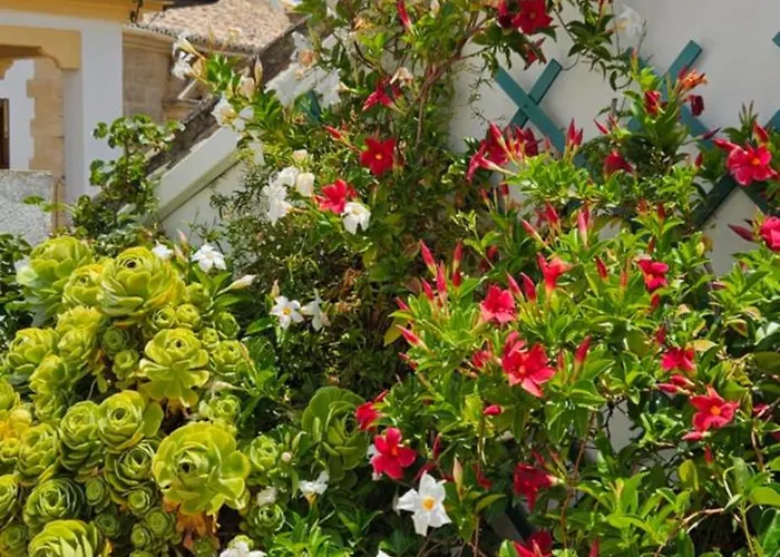 Descalzos Angel With Private Terrace Free Parking *