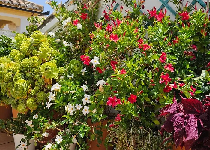 Descalzos ángel With Private Terrace Free Parking * Ronda