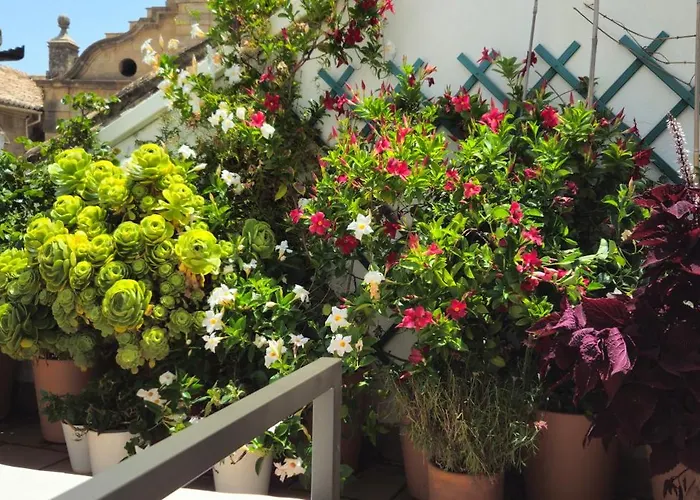 Descalzos ángel With Private Terrace Free Parking