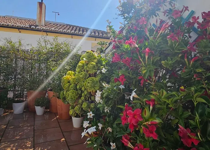 Descalzos ángel With Private Terrace Free Parking *