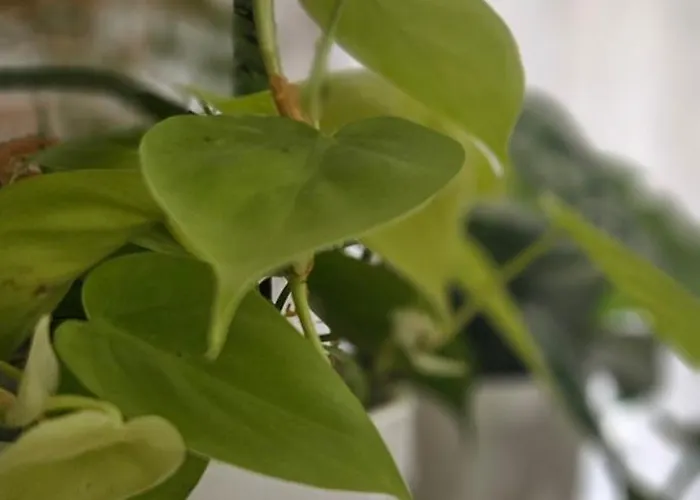 Appartement Descalzos Angel With Private Terrace Free Parking *