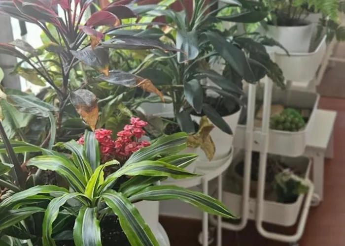 Appartement Descalzos Angel With Private Terrace Free Parking *