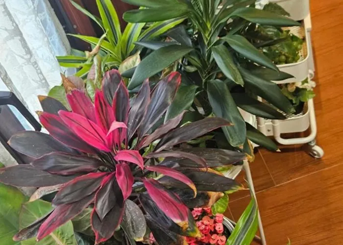 Descalzos Angel With Private Terrace Free Parking * Ronda