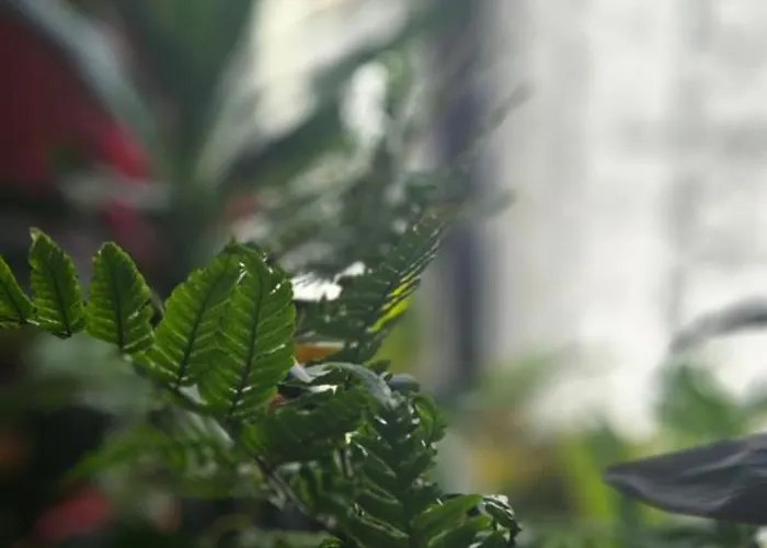 Descalzos ángel With Private Terrace Free Parking Ronda